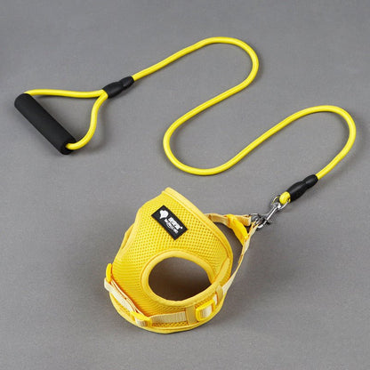 Dog leash dog leash dog collar - IK LifeStyle