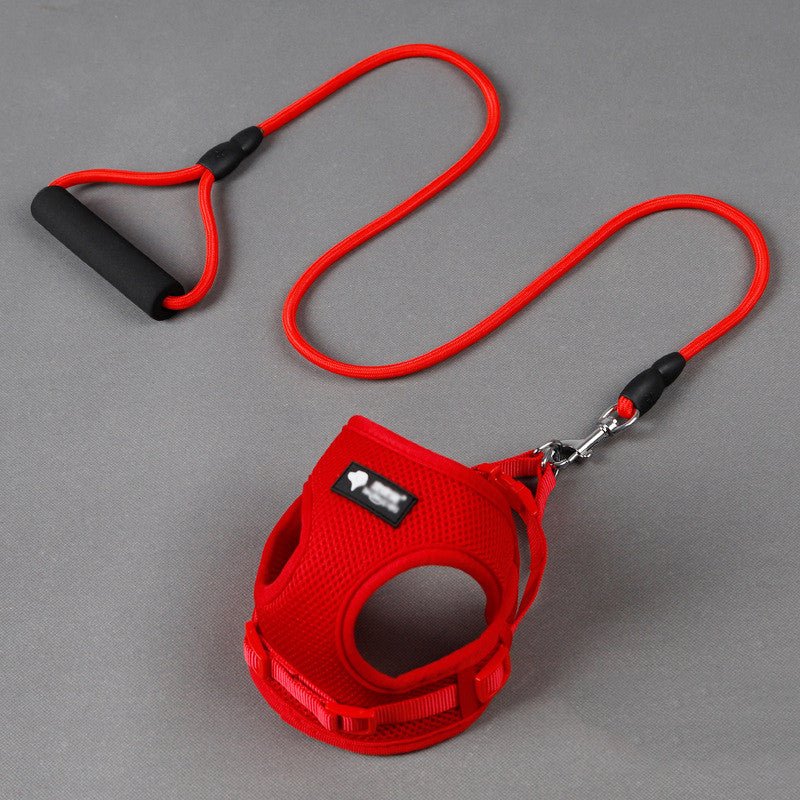 Dog leash dog leash dog collar - IK LifeStyle