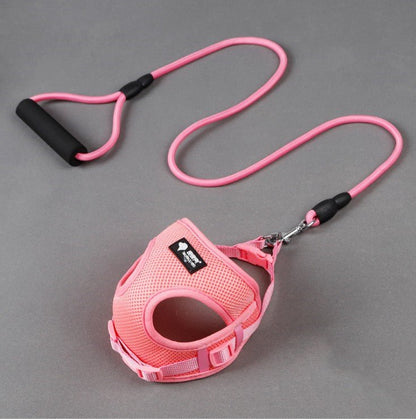 Dog leash dog leash dog collar - IK LifeStyle