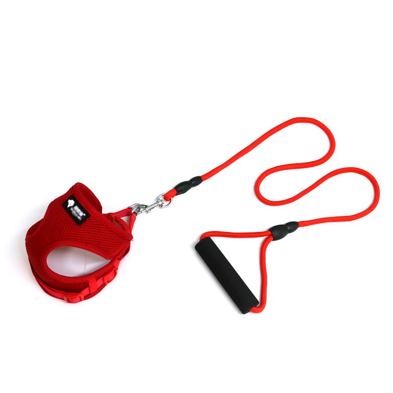 Dog leash dog leash dog collar - IK LifeStyle